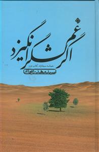 اگر غم لشگر انگیزد ـ حماسه سجادیه (کتاب دوم)